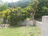 Alma Browns Town, St. Ann, Jamaica - House for Sale
